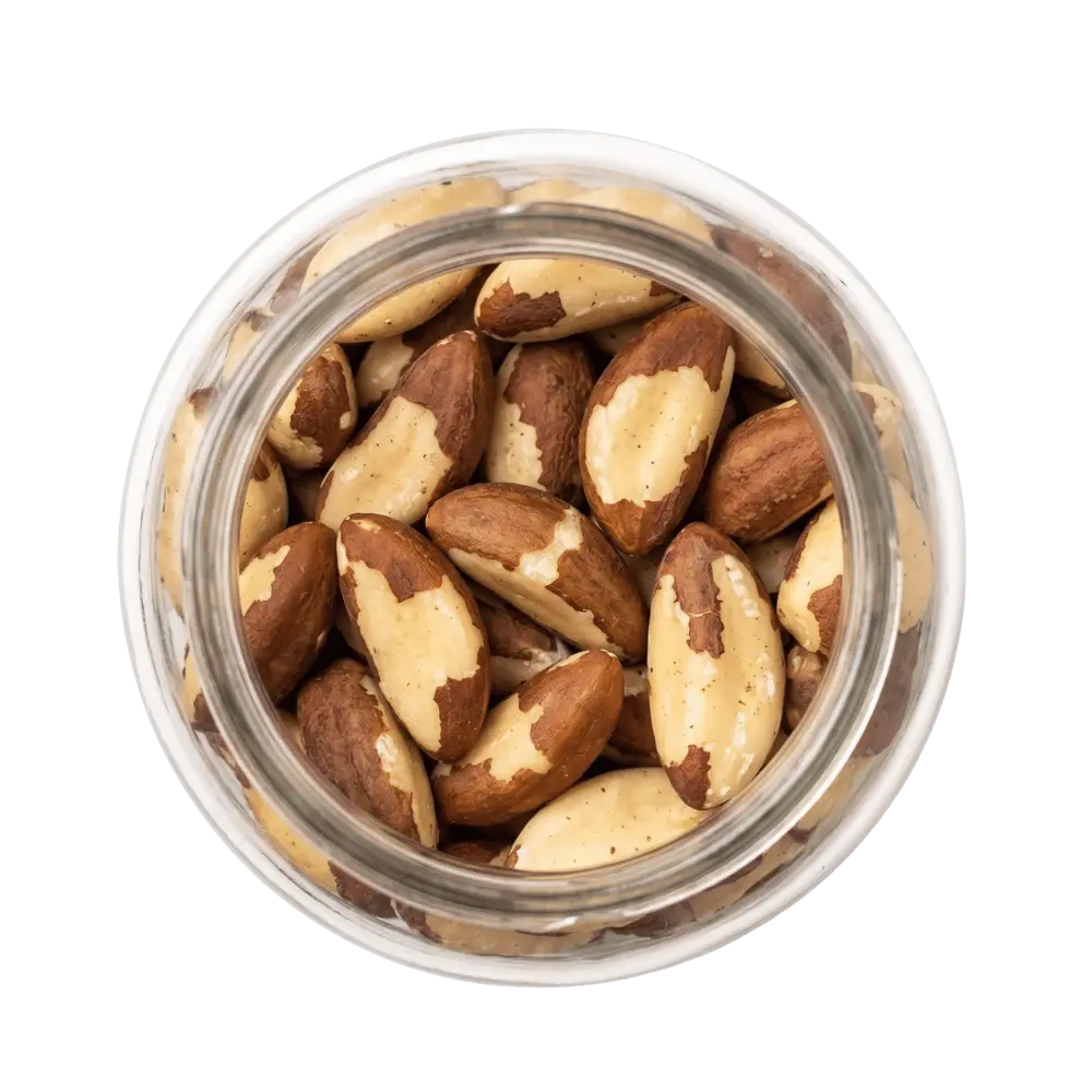 Brazil Nuts exporter packaging